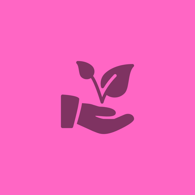 Small Business Growth